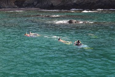 Snorkeling Papagayo from Andaz Resort